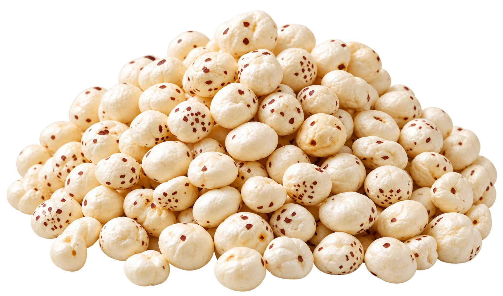 Premium popped makhana kernels